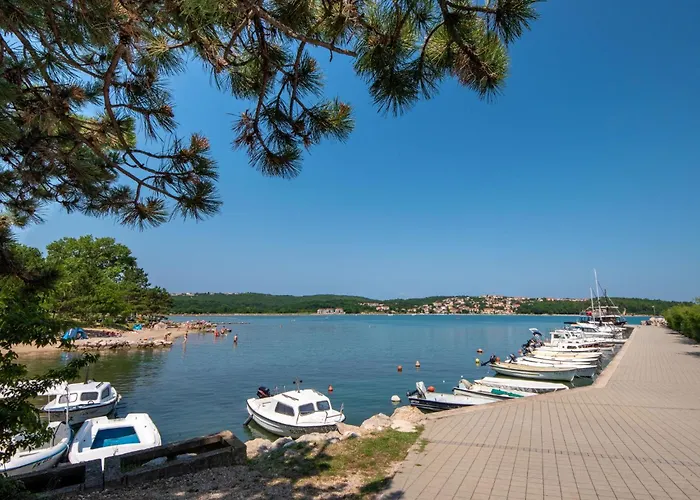 Nadia Mit Eigenem Pool By Interhome * Sveti Ivan Dobrinjski