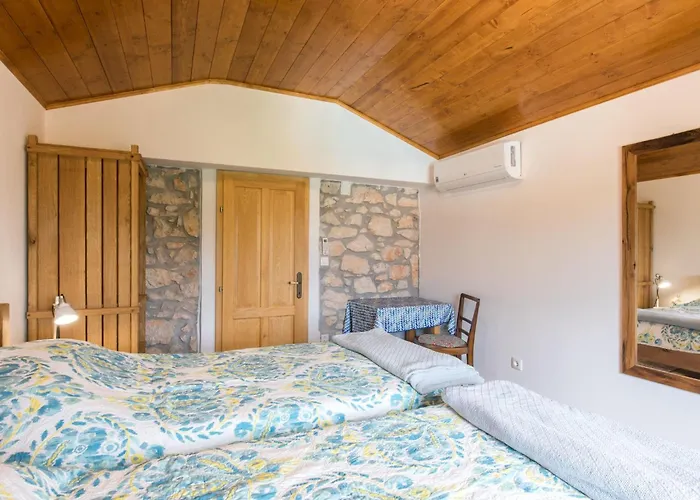 Vikendica Nadia Mit Eigenem Pool By Interhome Sveti Ivan Dobrinjski